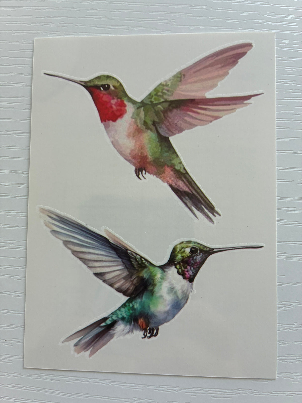 Tatouage éphémère colibri aquarelle N°3 – 2 tatouages