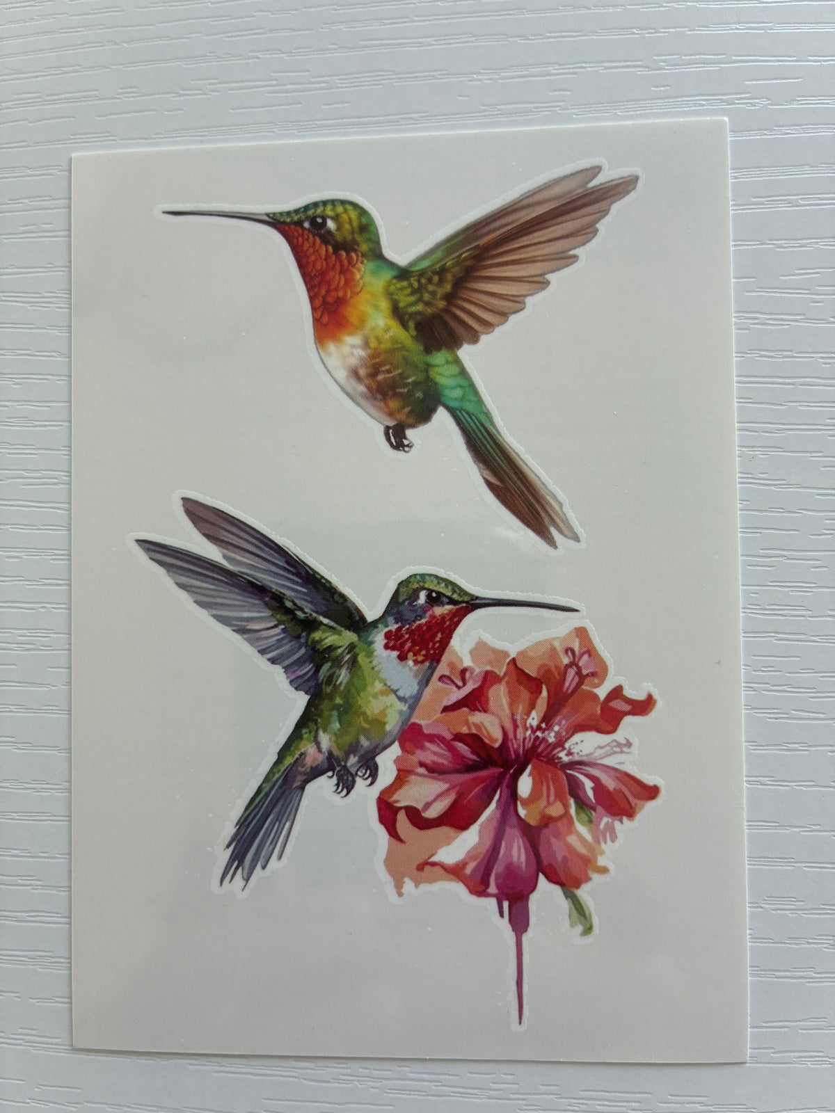Tatouage éphémère colibri aquarelle N°7 – 2 tatouages