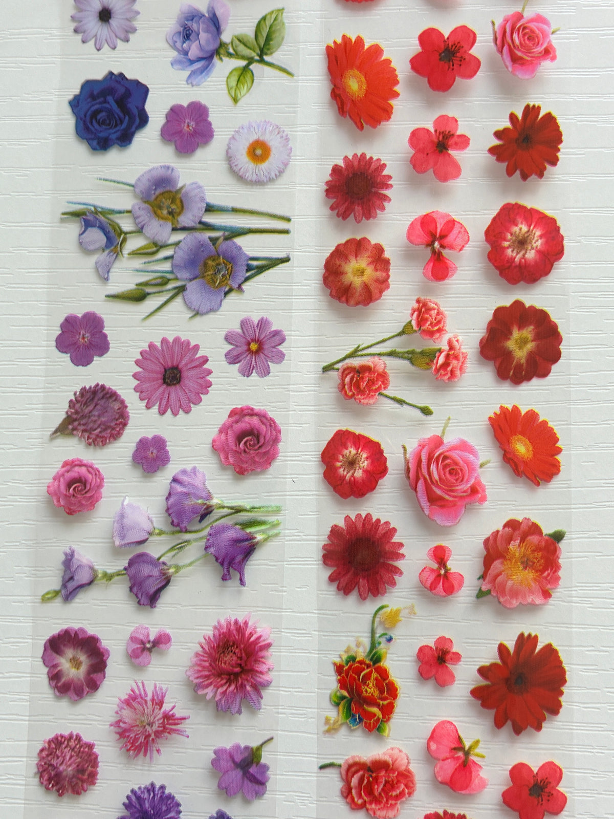 Foils Nail Art – Roses et fleurs multicolores – Lot de 2