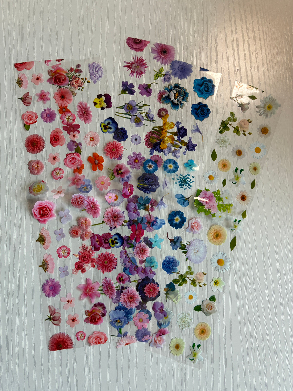 lot de 5 foils fleurs assorties pour nail art