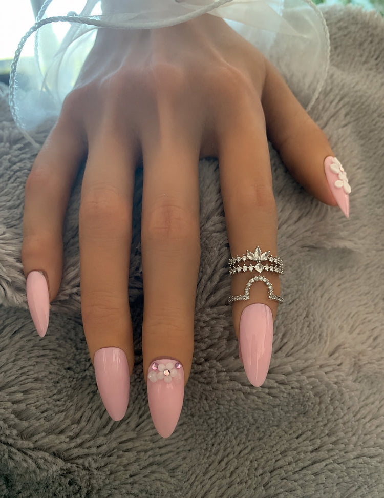 Rose Velours – Amande M