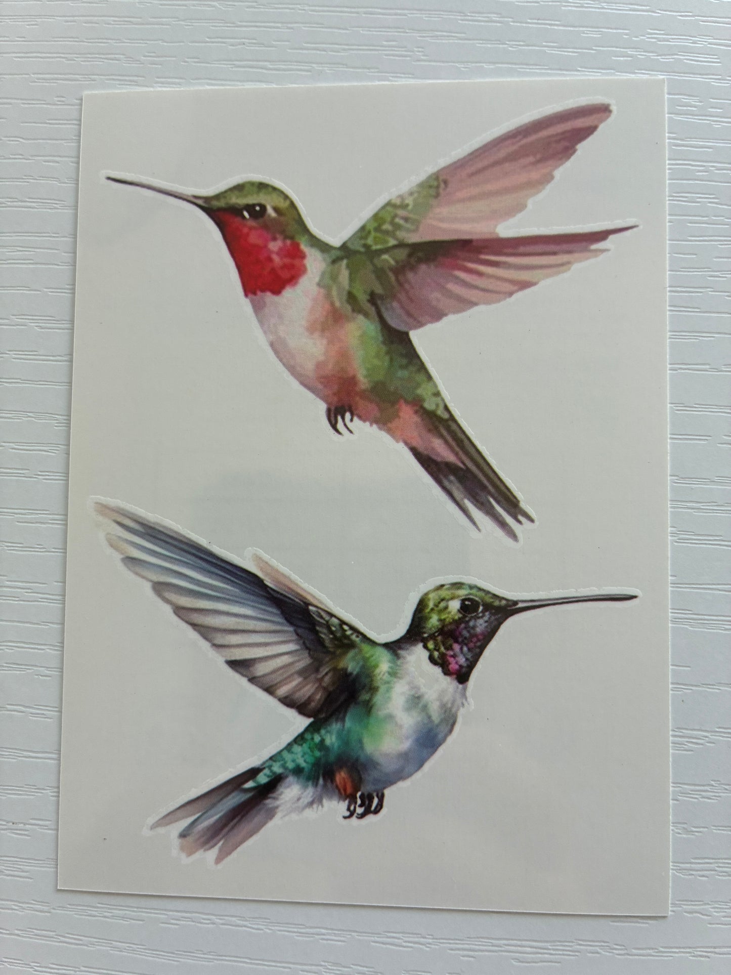 Tatouage éphémère colibri aquarelle N°3 – 2 tatouages