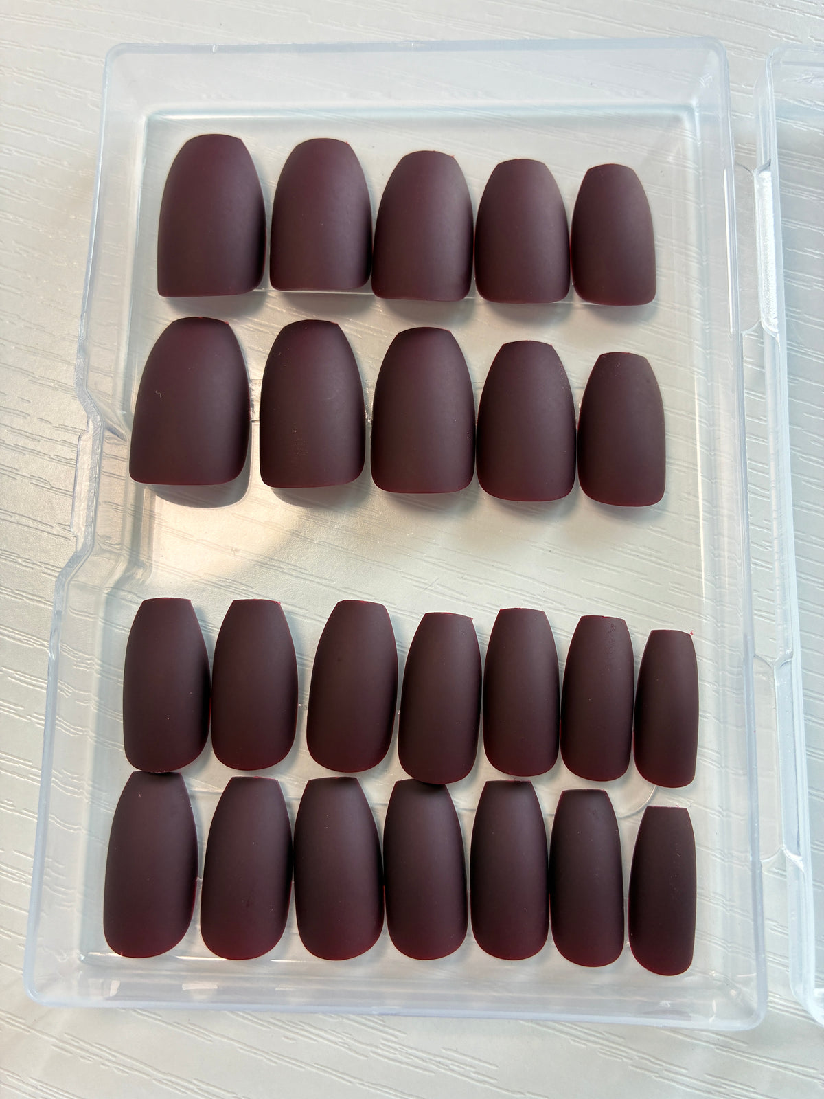 Les Essentiels – Kit découverte 24 capsules – Prune Velours – Ballerine M